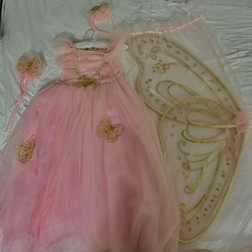 Fairy princess dress costume